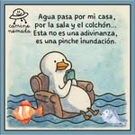 Lázaro Rafael Rodríguez Solis - @solislazarorafael - Instagram