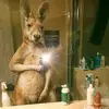 Lazaro Vasquez - @lazaro.vasquez6 - TikTok