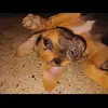 😻Yuleisy 🦋 - @vasquezlazaro - TikTok