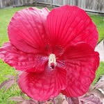 L B brown - @lbbrown53 - Instagram