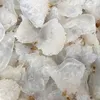 Le Bui - @le.bui30 - TikTok