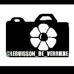 @lebuisson_de_verriere - Instagram