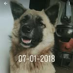 Lê Thắng - @lethang1808 - Instagram
