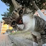 𝐋ê 𝐓𝐡ắ𝐧𝐠 - @lethang.23 - Instagram