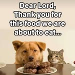 lea allison - @lea_alison123 - Instagram