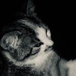 Lea Arndt - @arndt.lea - Instagram