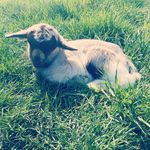 lea Arndt - @lea_arndt17 - Instagram