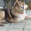 Lea Arndt - @lea.arndt2003 - TikTok