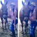 Leah Atkins - Facebook