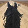 leaayers007 - @leaayers007 - TikTok