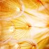 lea._.Baum - @lea._.baum - TikTok