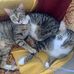 Lea Blevins - Facebook