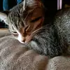 lea - @lea.boucher - TikTok