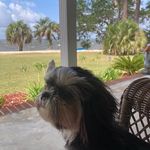Barbara Lea Burke Mcgowan - @barbaraburkemcgowan - Instagram