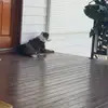 Sophia-lea Mcleary - @sophialea.mcleary - TikTok