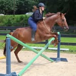 Lea Cooper - @luc_eventing - Instagram