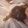 Léa - @leacooper00 - TikTok