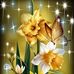 Lea Copeland - Facebook