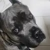Barbarian_Corso_Lea - @barbarian_corso_lea - TikTok