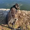 Lea - @leathecanecorso - TikTok