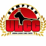 Urban League Cane Corso - @urbanleaguecanecorso - Instagram