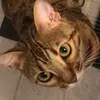 Lea Costa - @lea.costa02 - TikTok