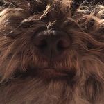 Léa Cottonnelle - @cottonlea - Instagram