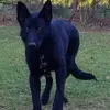Leah Cross - @leah.cross0 - TikTok