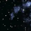 Lea_Crouch - @lea_crouch_official - TikTok