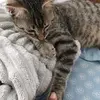 Léa - @lea.crouche - TikTok