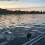 lea - @_leadaigle - Instagram