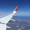 Léa Daigle  - @lea._daigle - TikTok