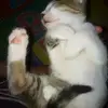 Lea_dalya - @lena_dalya88 - TikTok