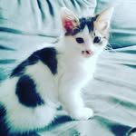 Léadao - @nonomedao - Instagram