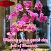 Lea Datu - Facebook