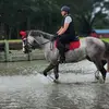 Casie Rahe - @dappleaday - TikTok