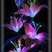 Lea Diaz - Facebook
