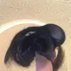 Leah - @leah.dodd - TikTok