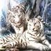 Leah Dooley - Facebook