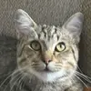 Leah Dooley - @leah.dooley8 - TikTok