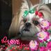 Leann Dooley - Facebook