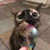 Lea Duffy - @lea.duffy3 - TikTok