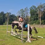Lea eckert - @lea1eckert - Instagram
