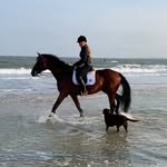Lea Eckert - @leequilife - Instagram