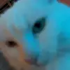 Leah Eddy - @leah.eddy2 - TikTok