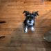 Lea Elliott - Facebook