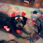 Lea erickson - @leae172020 - Instagram