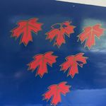 Leaf Erickson - @leaf_erickson_9er - Instagram