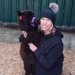 leafield alpacas - @leafieldalpacas - Instagram