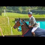 Leafield Equestrian - @leafieldequestrian - Instagram